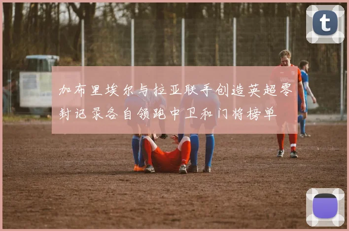 加布里埃尔与拉亚联手创造英超零封记录各自领跑中卫和门将榜单