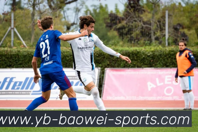 宝威体育品牌故事